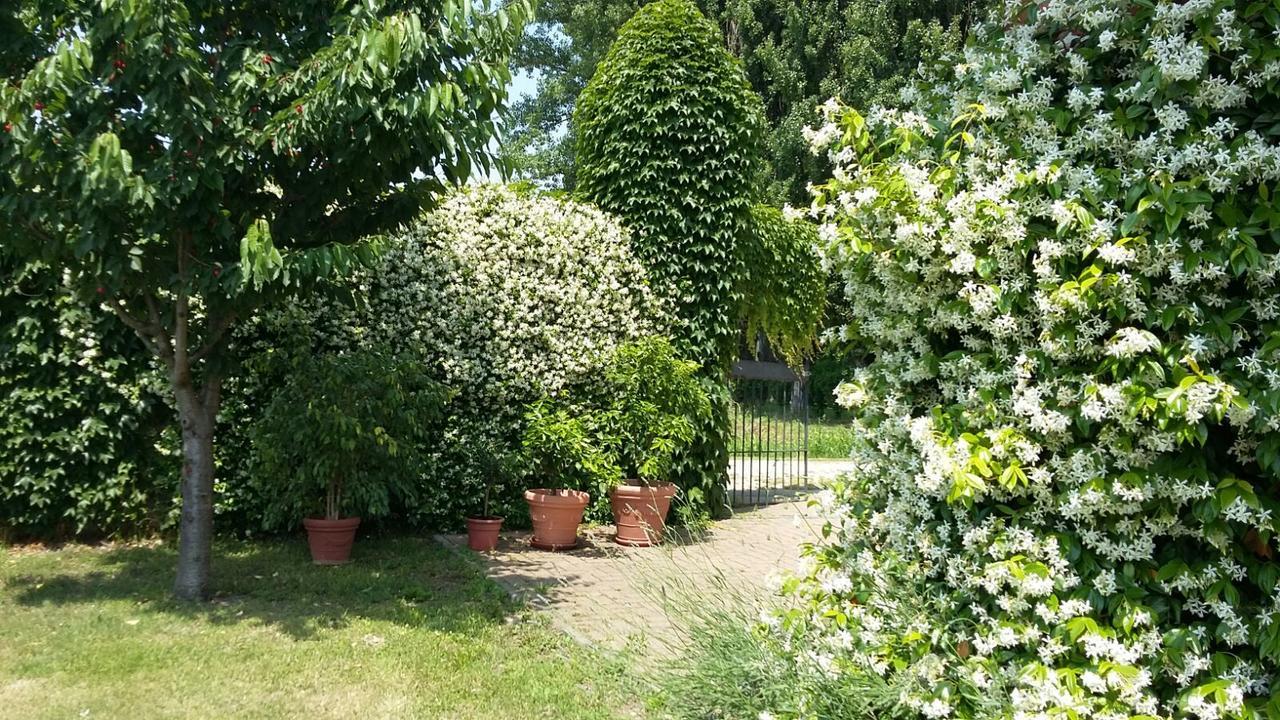 Agriturismo San Bruno San Colombano al Lambro Dış mekan fotoğraf